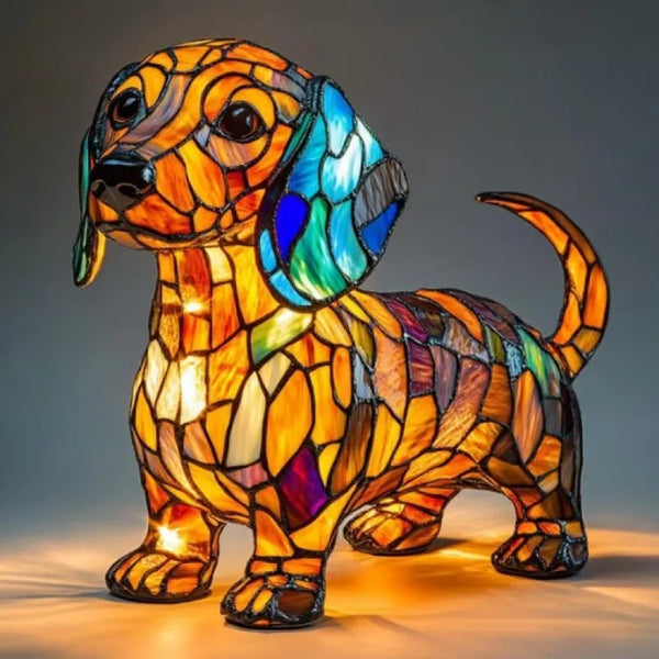 Radianza Dachshund – long-bodied dachshund with floppy ears